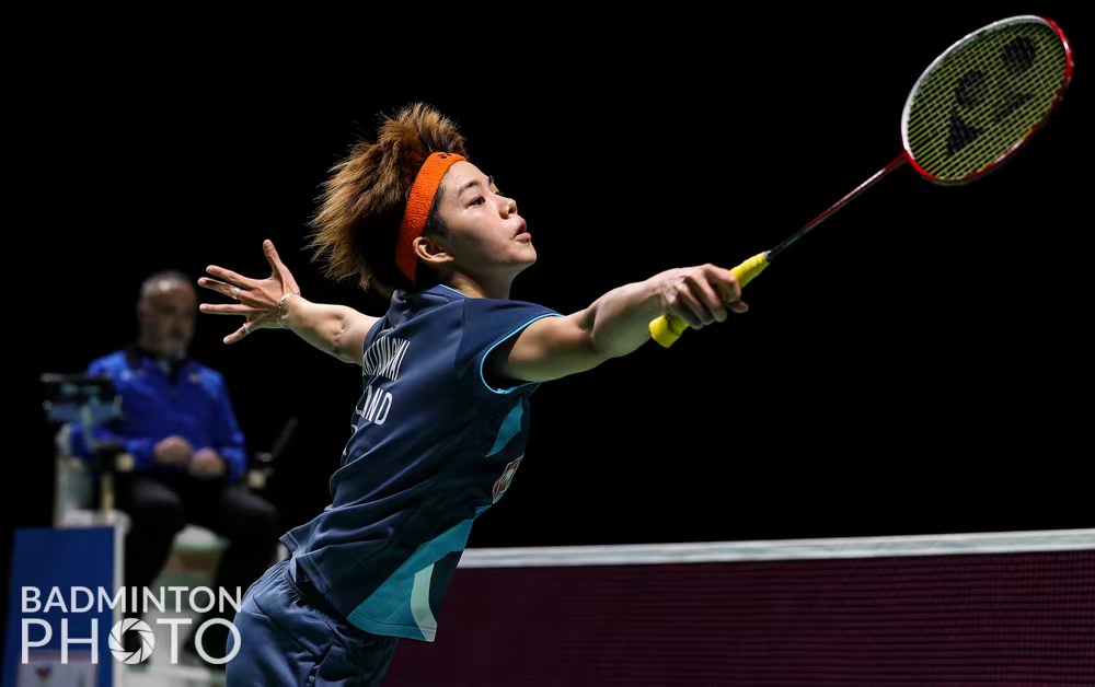 于是引入了 于是引入了